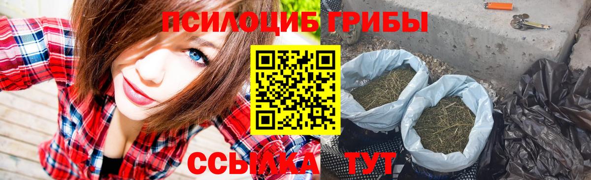 Галлюциногенные грибы GOLDEN TEACHER  Псилоцибиновые грибы Psilocybe  Орёл  Вход с VPN 
